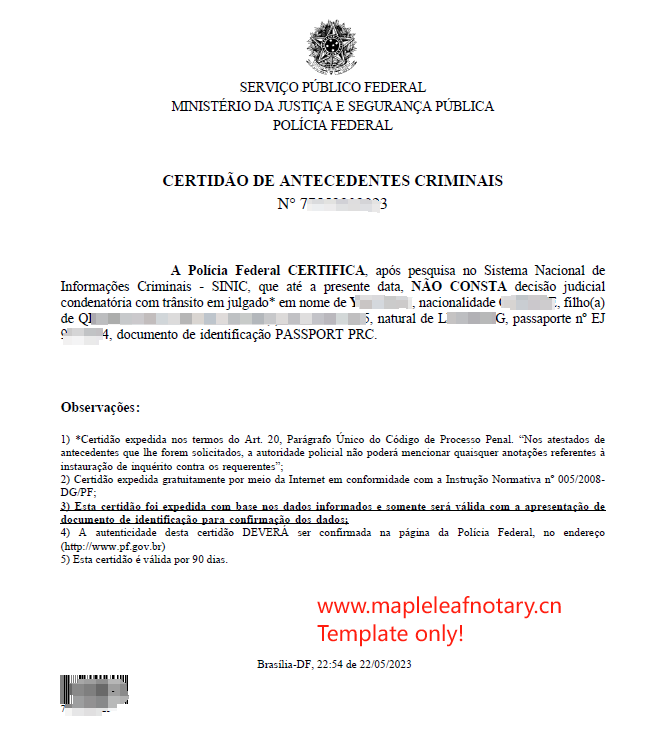 Brazil certificate of no panel, police check record